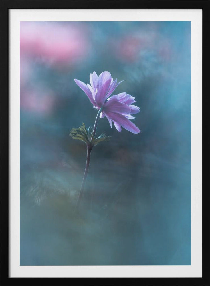 Nie endende Tage | Poster