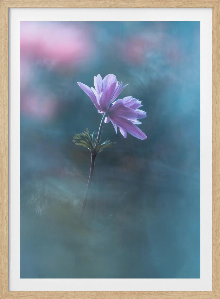 Nie endende Tage | Poster