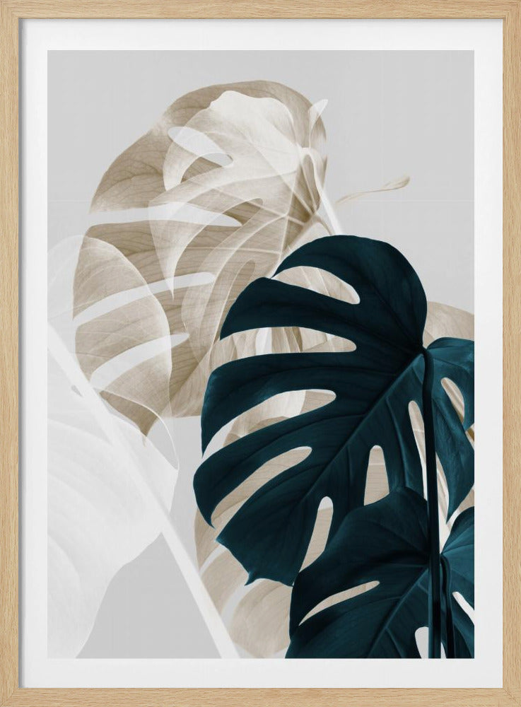 Monstera Creative 05 | Poster