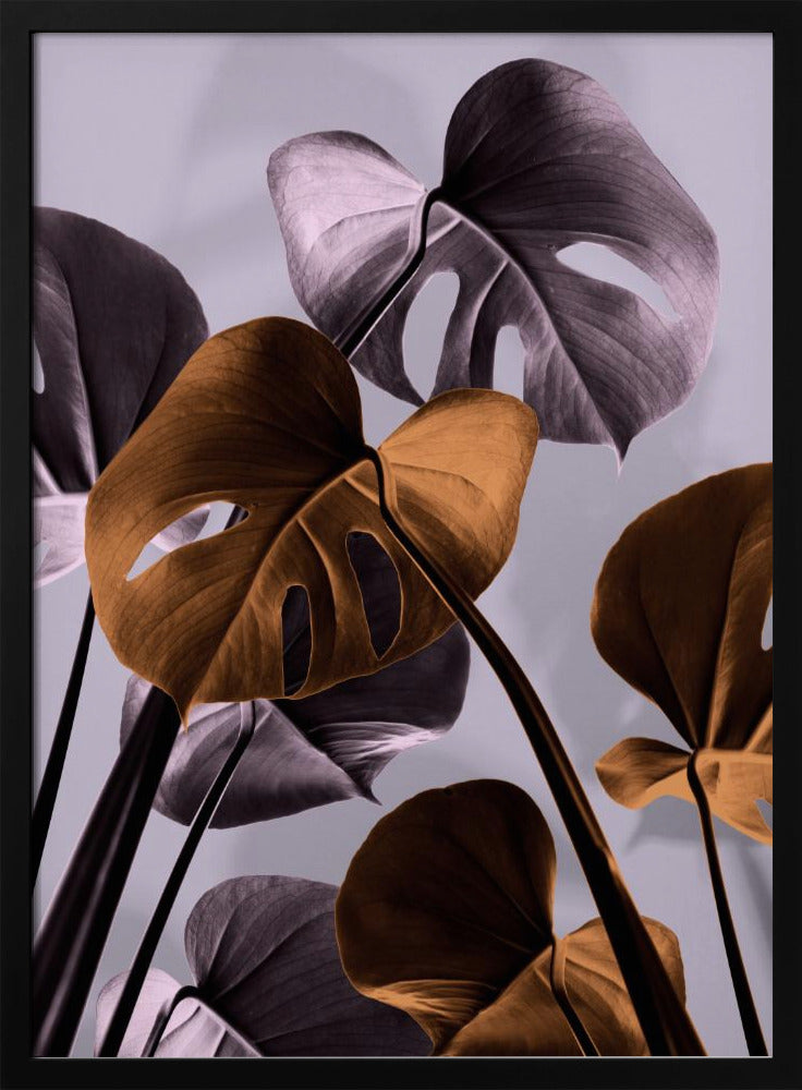 Monstera Lila 01 | Poster