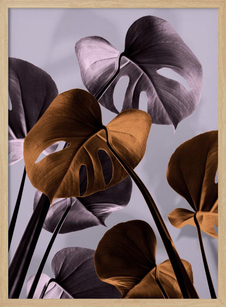 Monstera Lila 01 | Poster