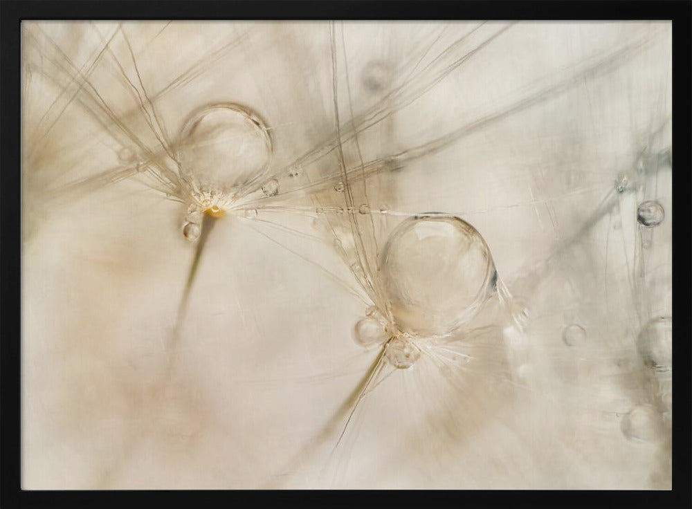 Aquarelle | Poster