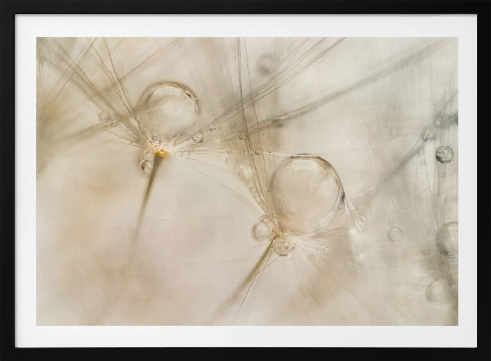 Aquarelle | Poster