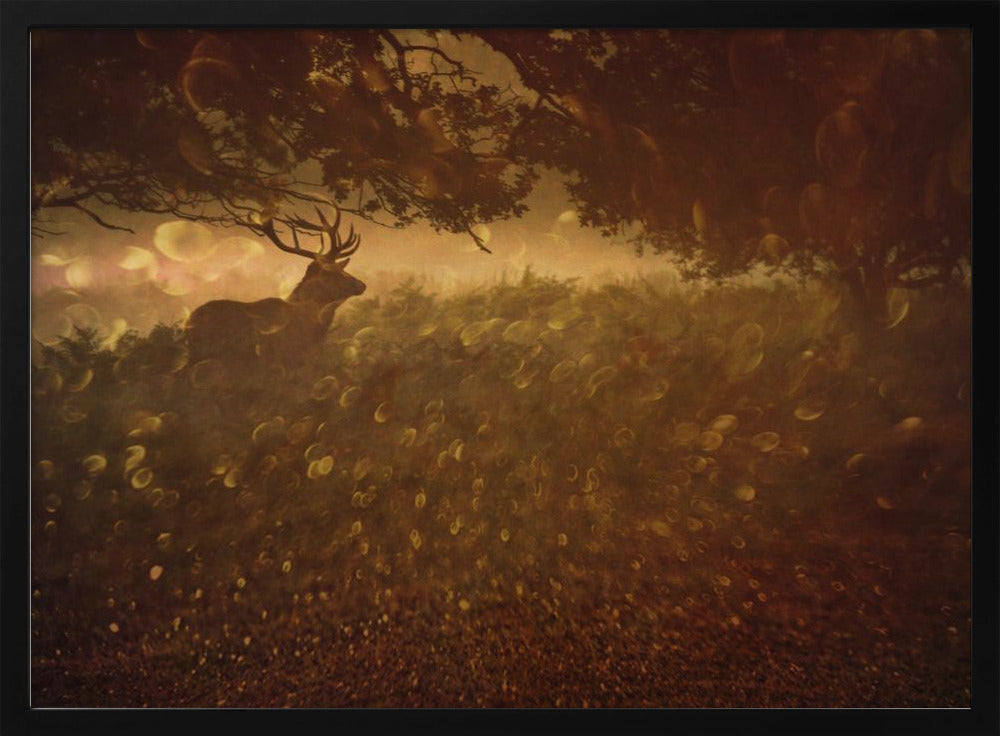 Golden Woods | Poster