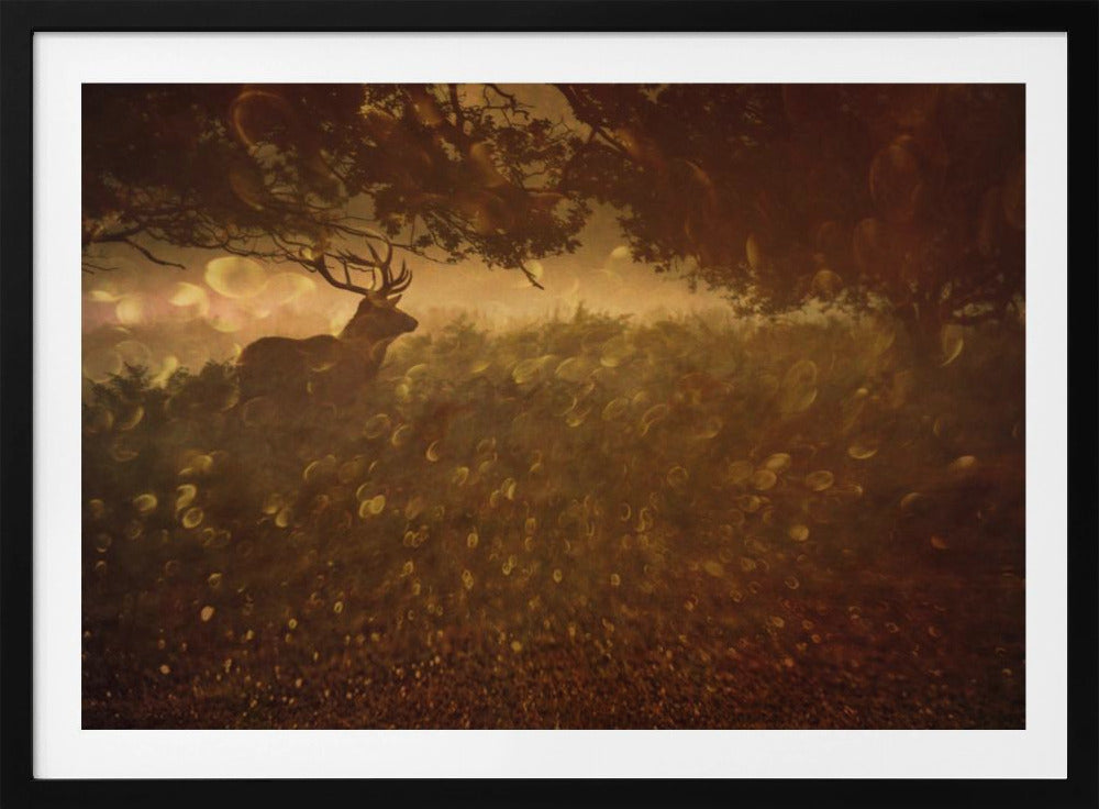 Golden Woods | Poster