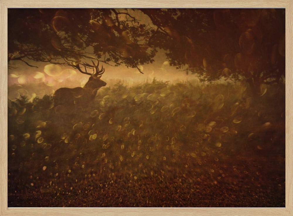 Golden Woods | Poster