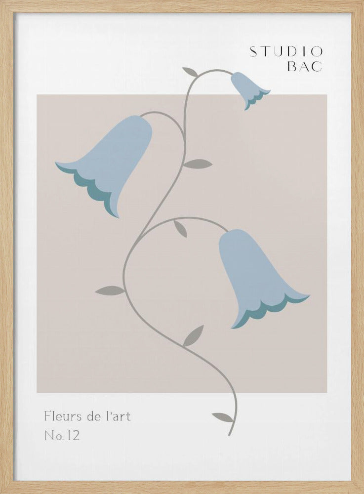 Bluebells Studio Bac | Poster
