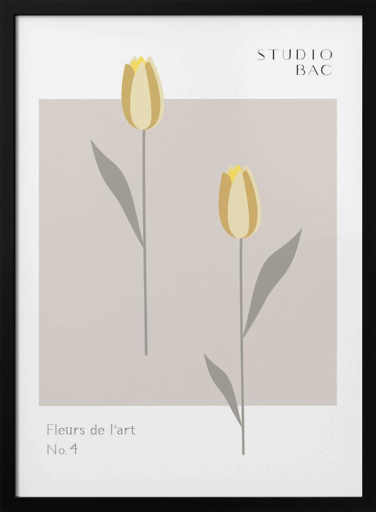 Tulpen Studio Bac | Poster