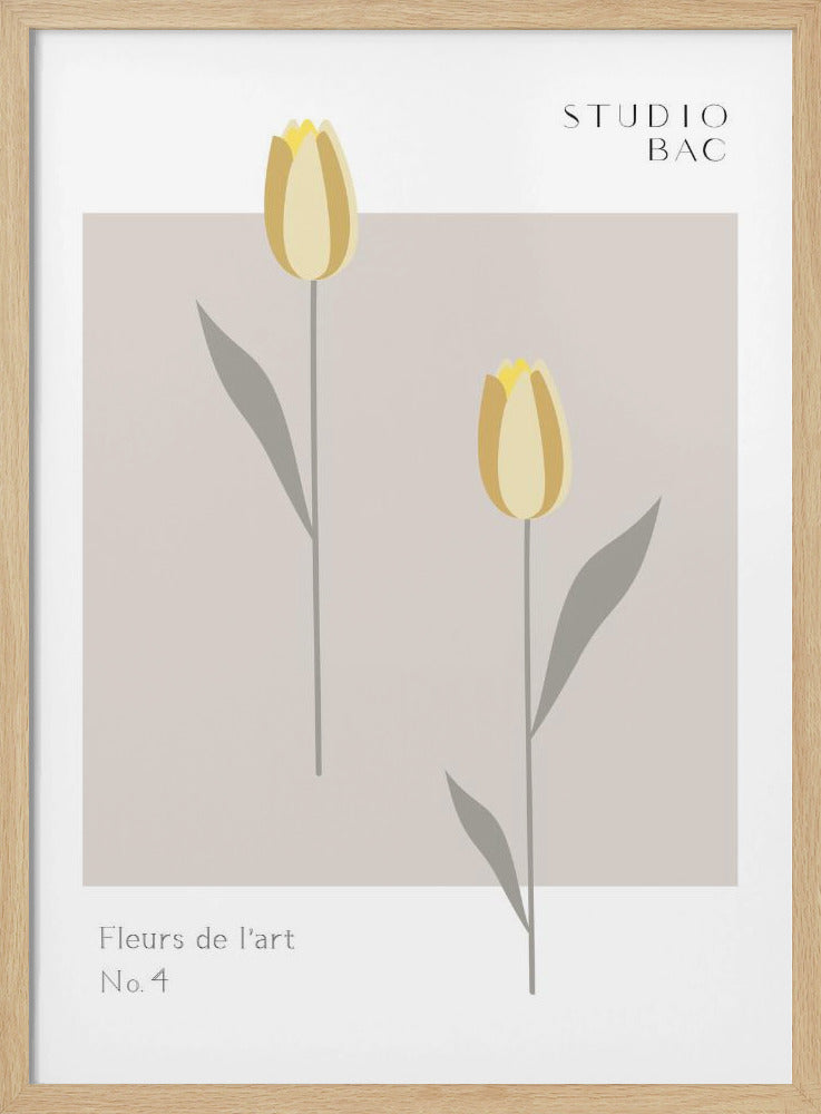 Tulpen Studio Bac | Poster