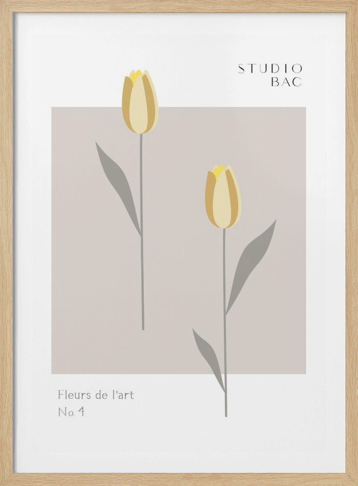 Tulpen Studio Bac | Poster