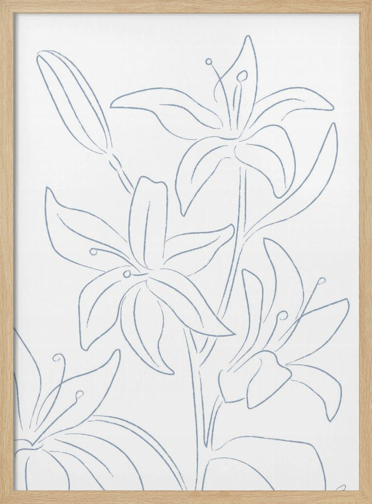 Lilien Nr. 01 | Poster