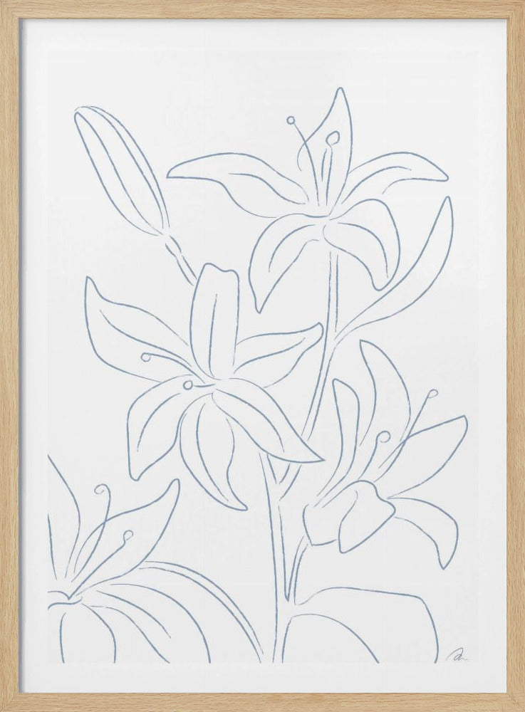 Lilien Nr. 01 | Poster