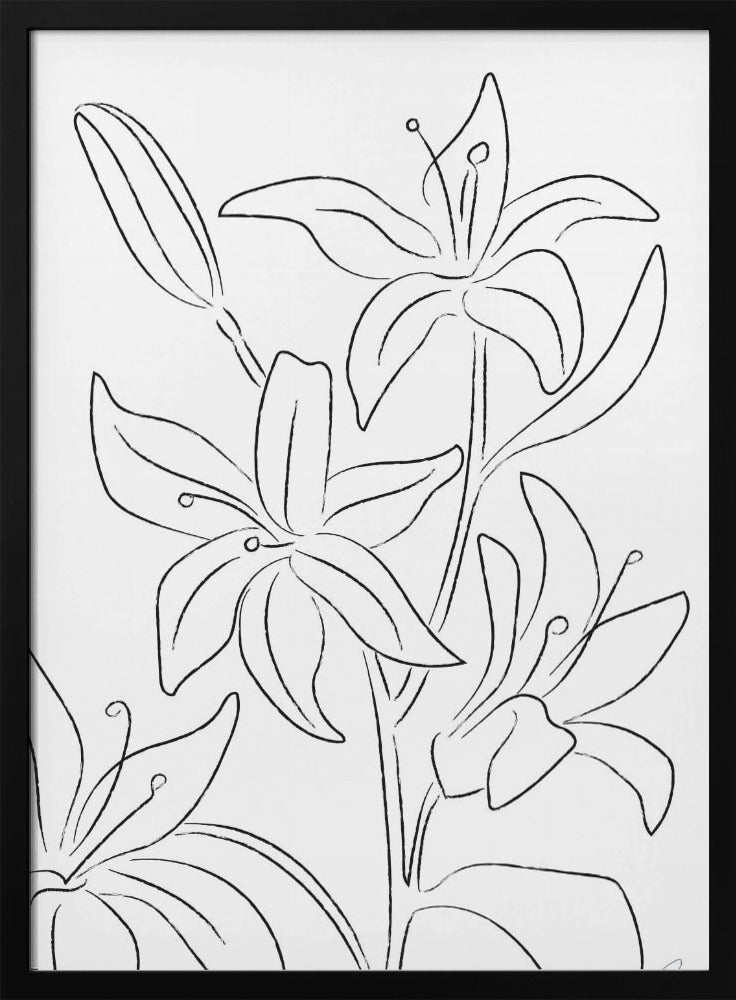 Lilien Nr. 02 | Poster