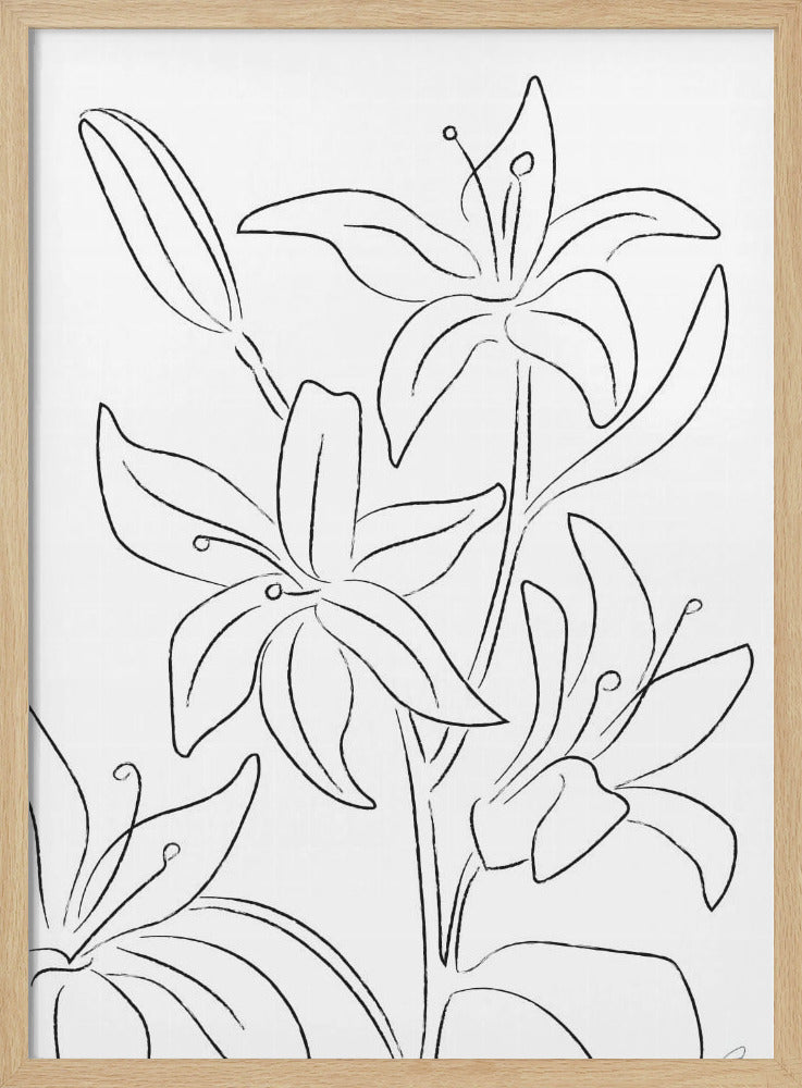 Lilien Nr. 02 | Poster