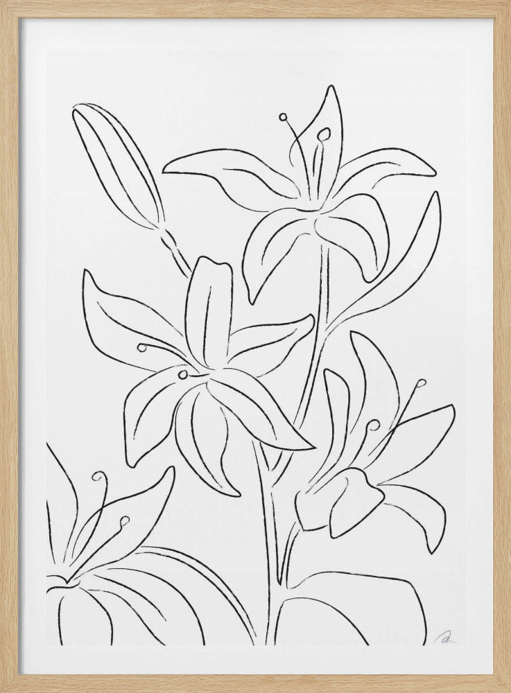 Lilien Nr. 02 | Poster