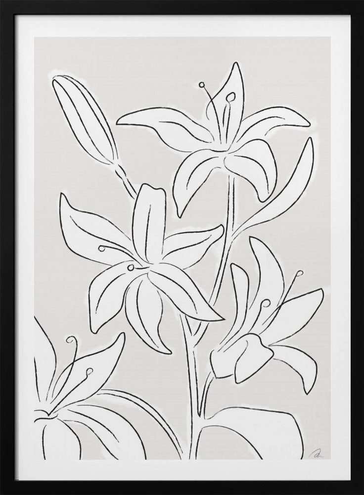Lilien Nr. 03 | Poster