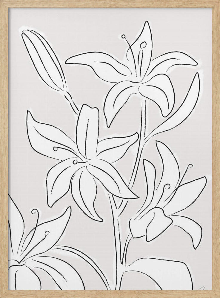 Lilien Nr. 03 | Poster