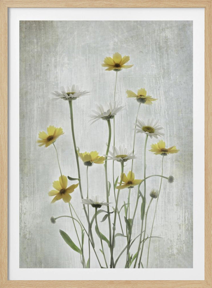 Sommerblumen | Poster