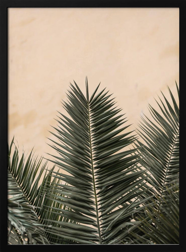 Palmblätter und Wand_1 | Poster