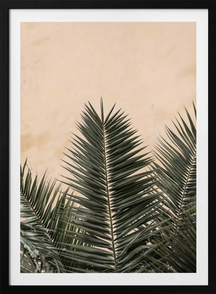 Palmblätter und Wand_1 | Poster