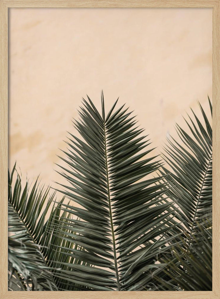 Palmblätter und Wand_1 | Poster