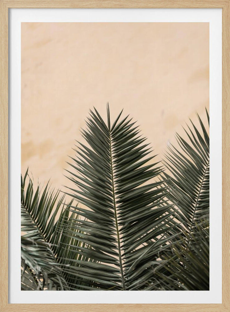 Palmblätter und Wand_1 | Poster