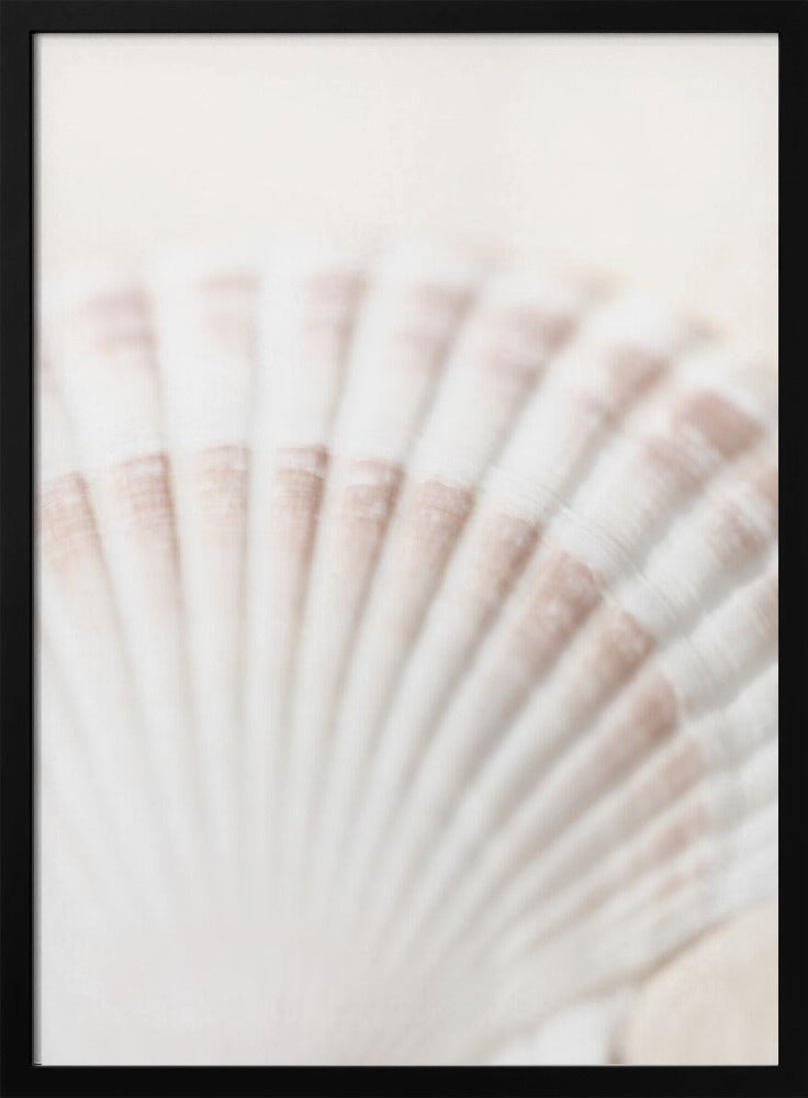 Shell | Poster