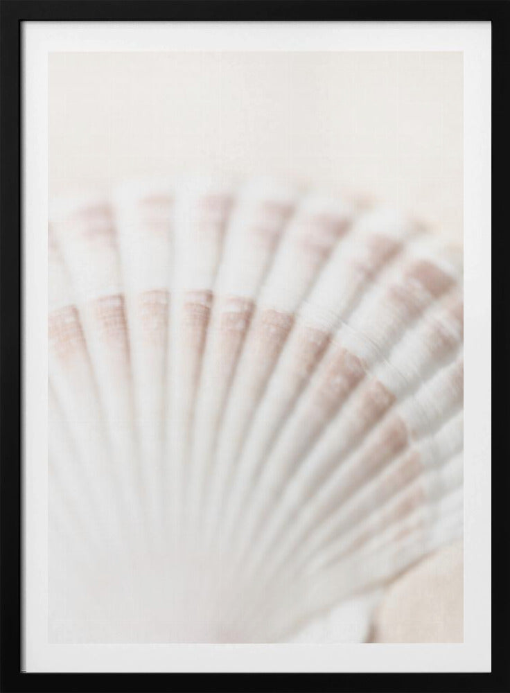 Shell | Poster