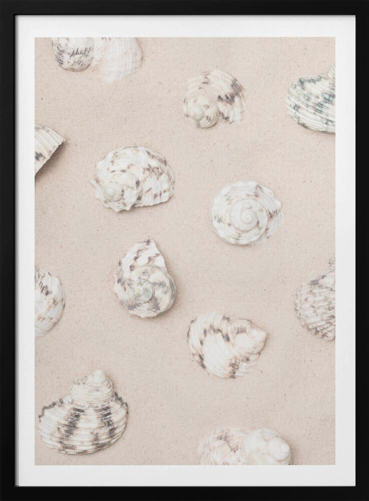 Muscheln_2 | Poster