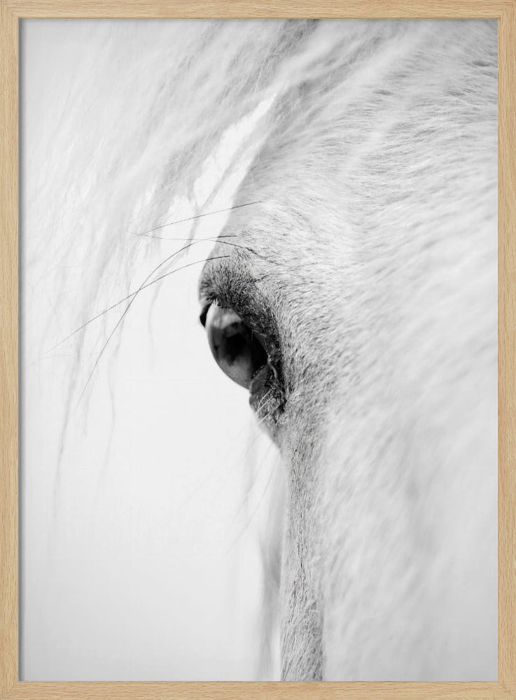 Schlauchauge | Poster