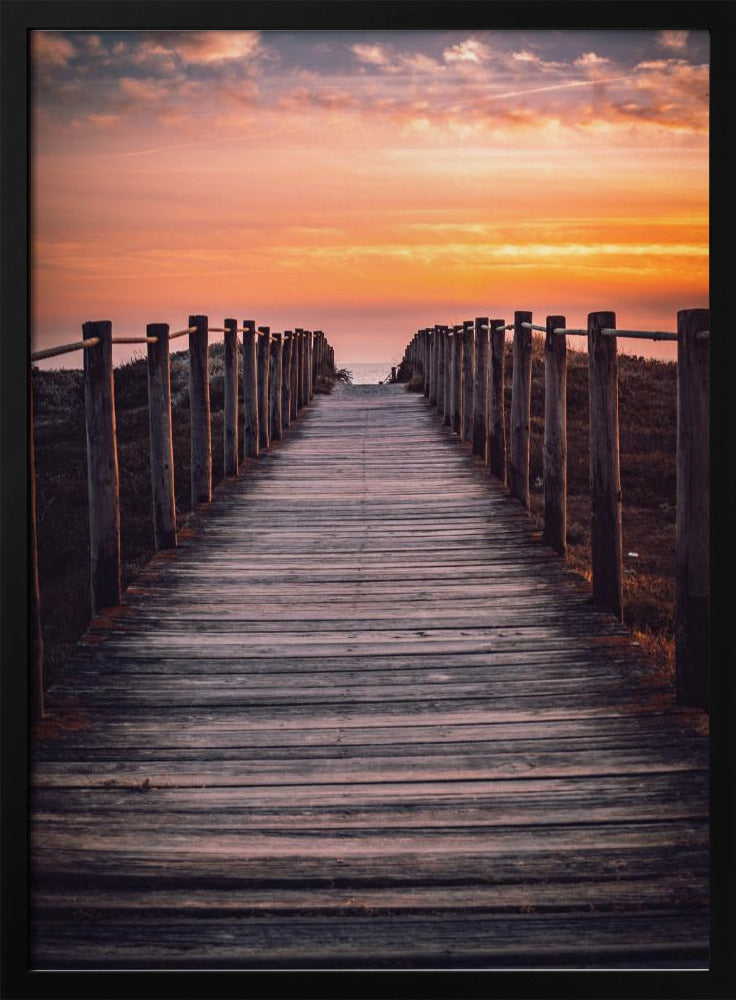 The path | Poster