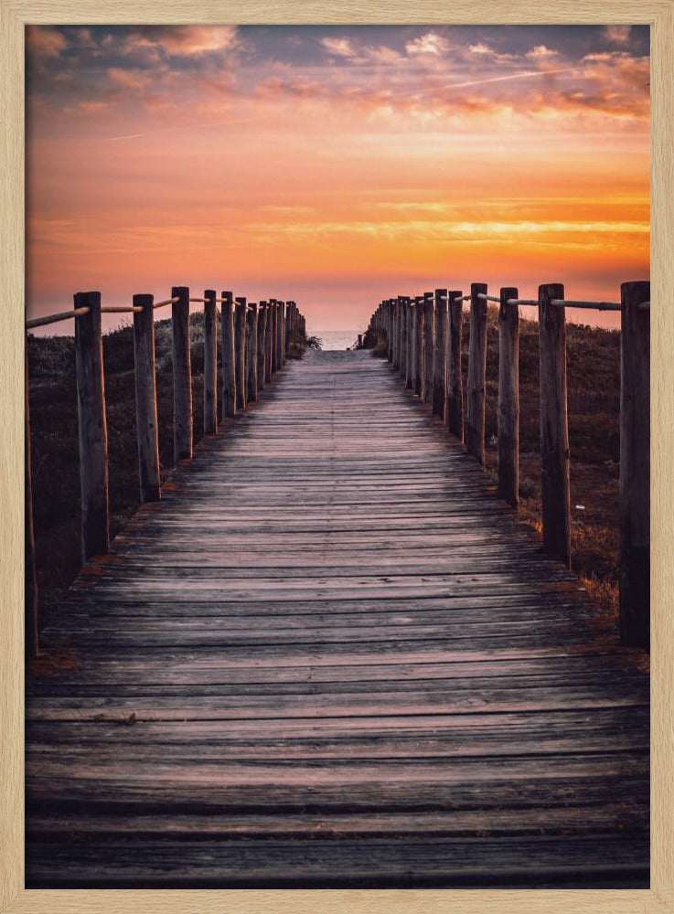 The path | Poster