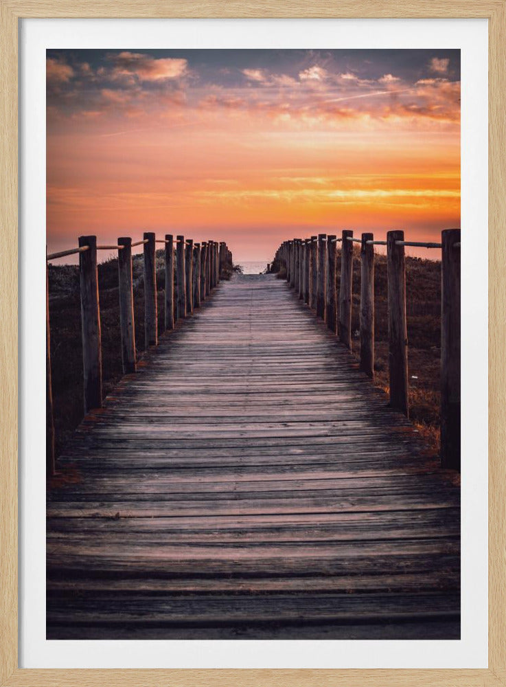 The path | Poster