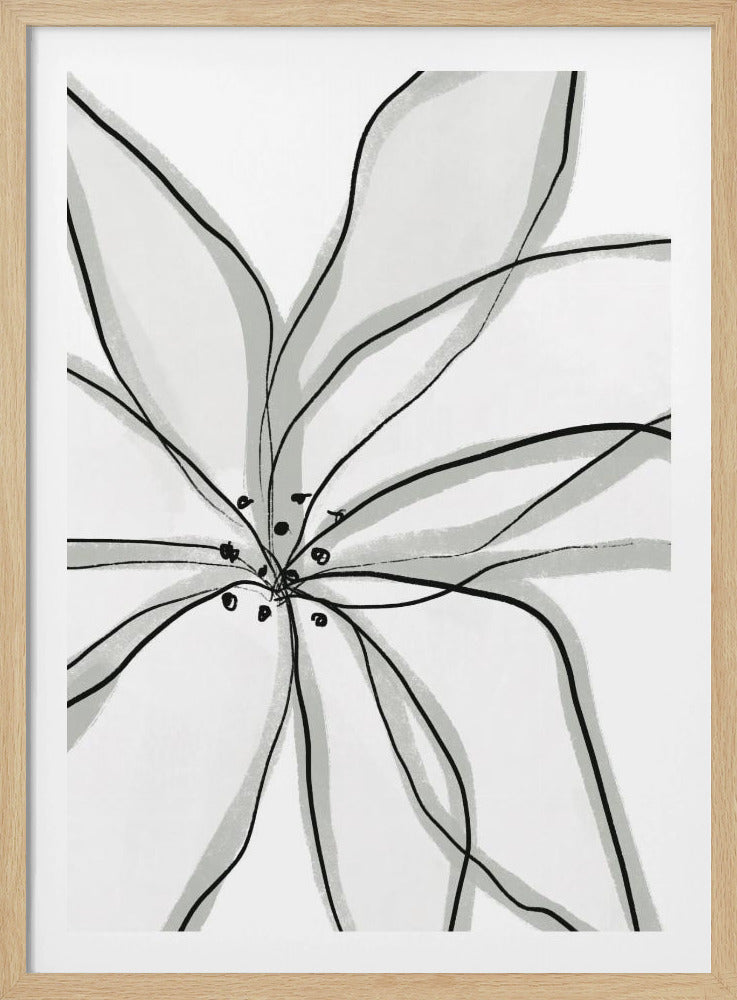Zarte Blütenblätter | Poster
