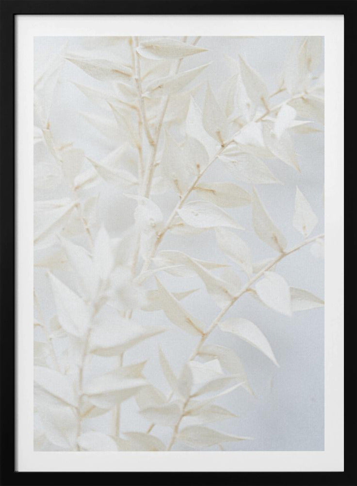 Ätherische Blätter | Poster