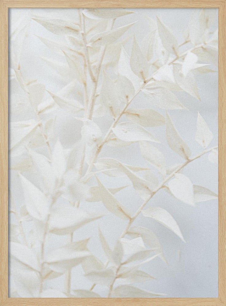 Ätherische Blätter | Poster