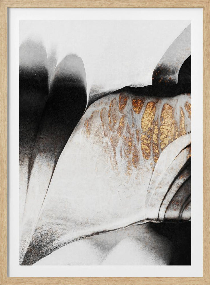 Goldadern | Poster