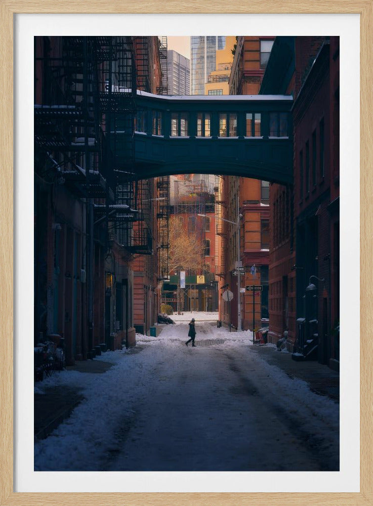 Unter der Skybridge | Poster