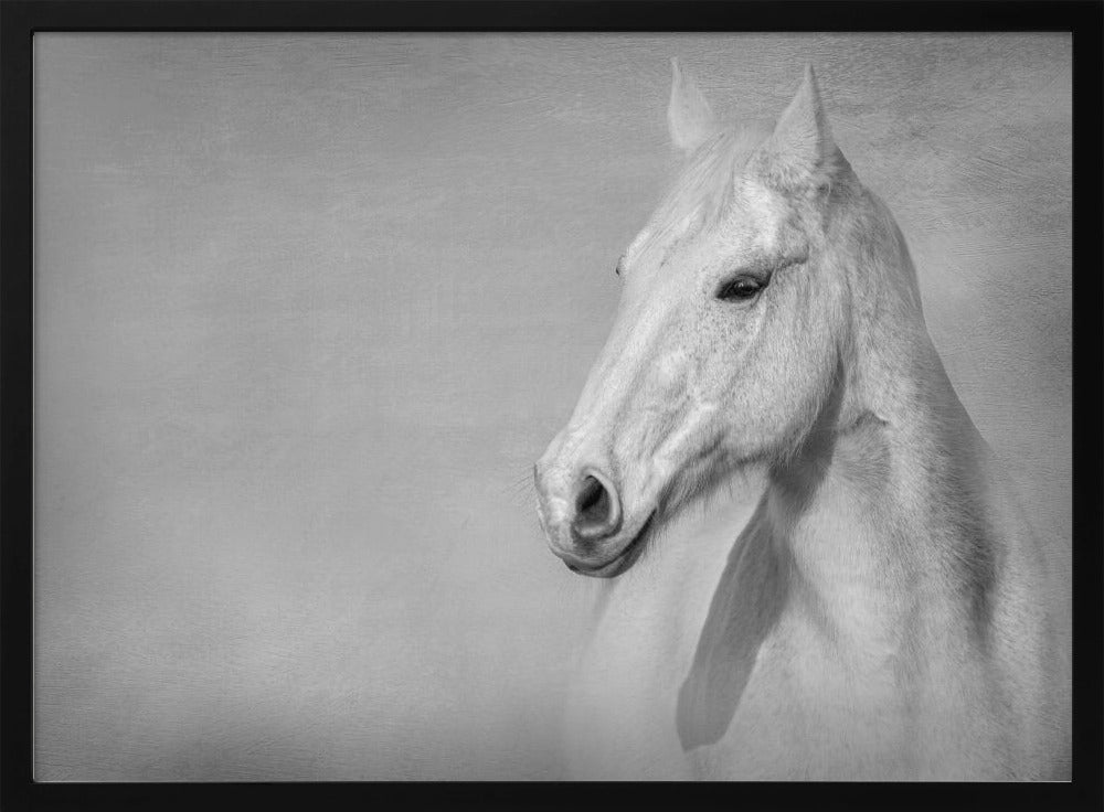 Das graue Pferd | Poster