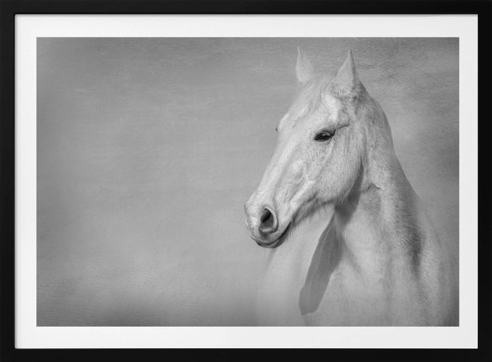 Das graue Pferd | Poster