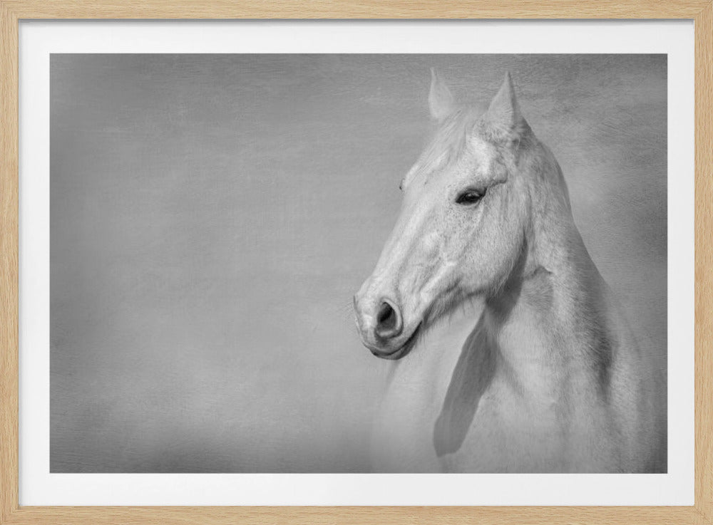 Das graue Pferd | Poster