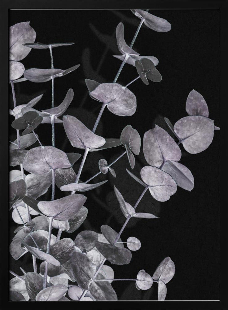 Eukalyptus_Negativ_003 | Poster