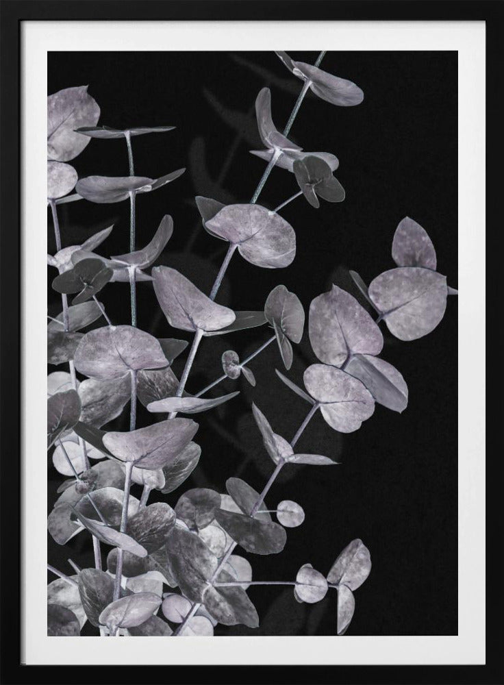 Eukalyptus_Negativ_003 | Poster