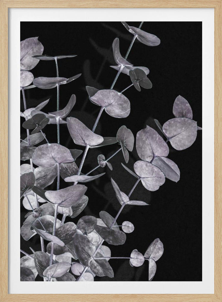 Eukalyptus_Negativ_003 | Poster