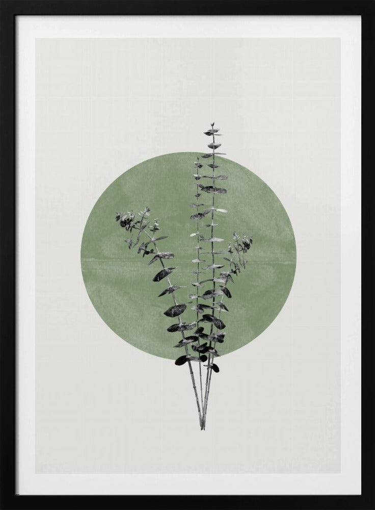 Das Echo der Natur | Poster
