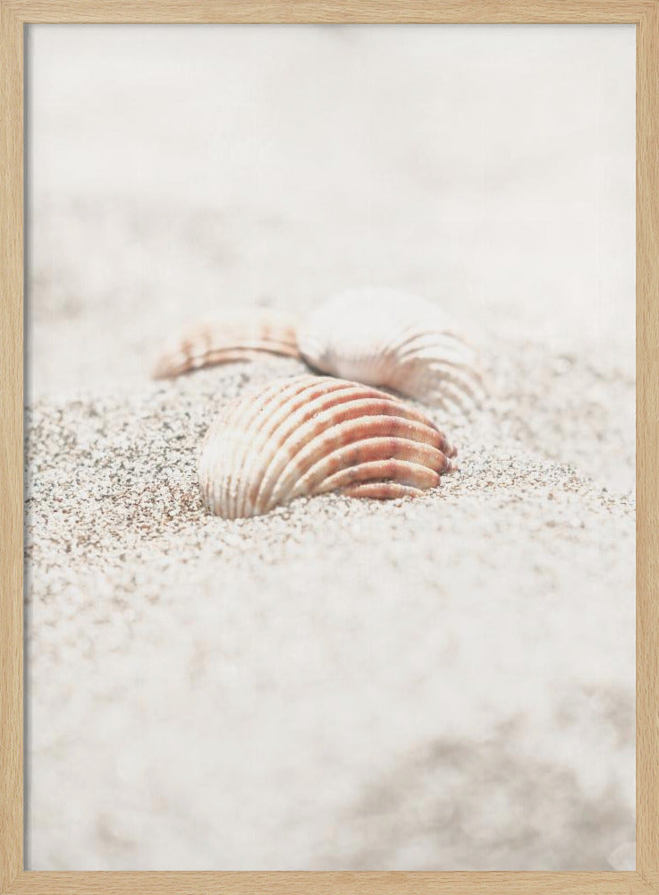 Strand_013 | Poster