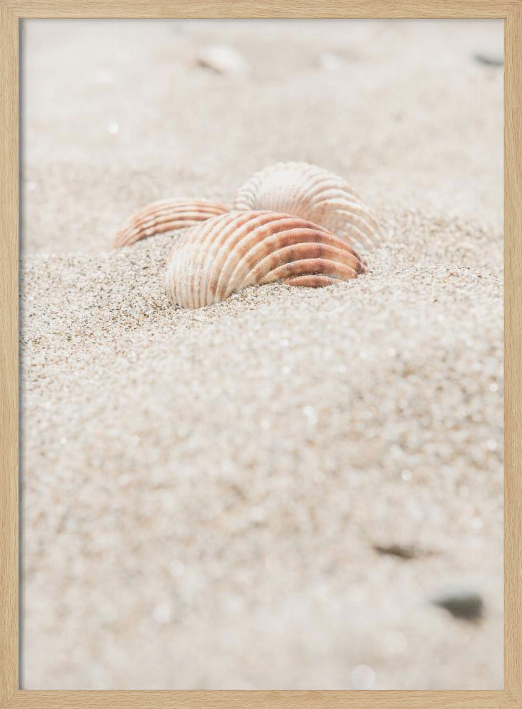 Strand_014 | Poster
