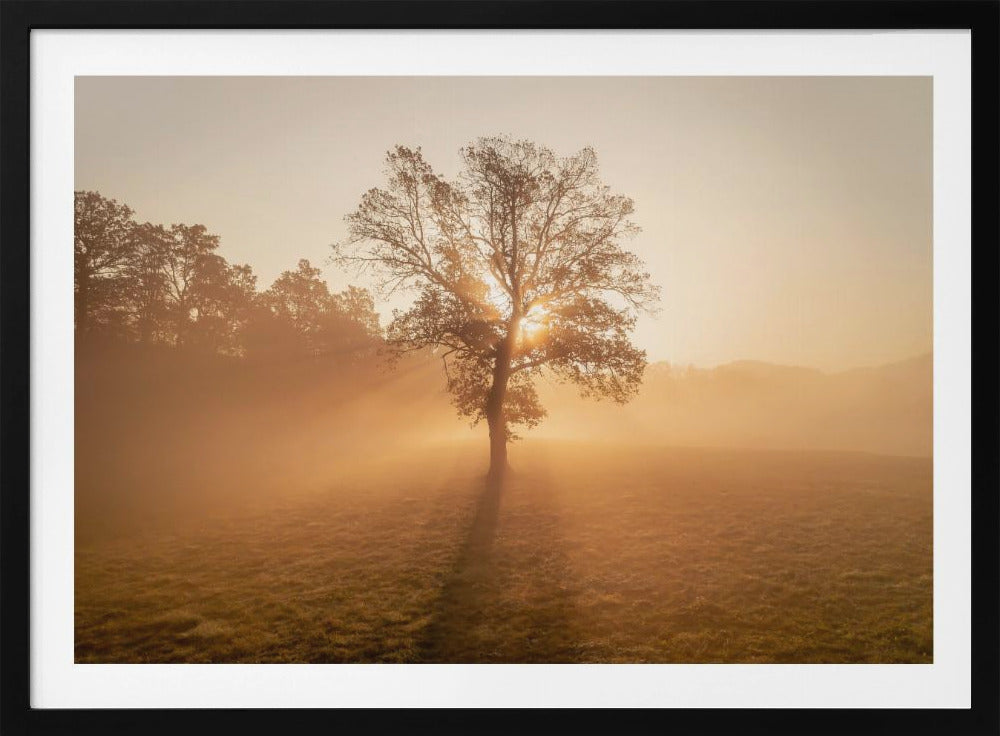 Einsamer Baum | Poster