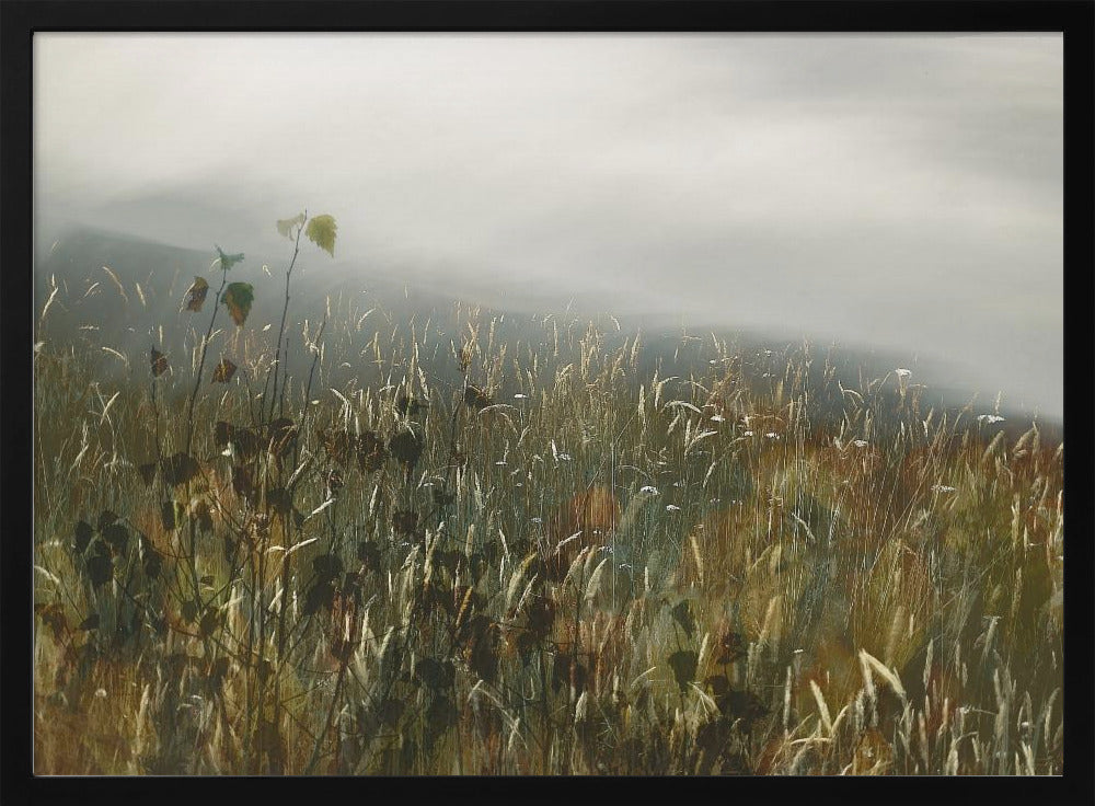 Im Feld | Poster
