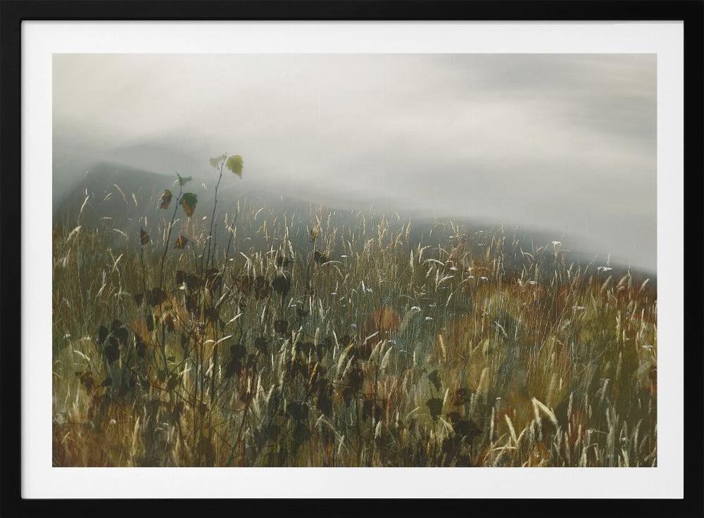 Im Feld | Poster
